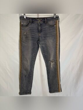 Anthropologie Pilcro Slim Boyfriend Jeans Side Stripe Size 28 Distressed